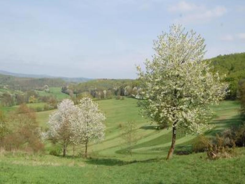 Land Und Leute Appartement Fritzlar Buitenkant foto